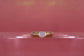 Eleganter Goldring 585 – 5,1 g – 14 Karat – Mit 0,51 ct & 0,05 ct E-Diamanten – Größe 54